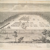 A view of Savanah as it stood the 29th of March, 1734.