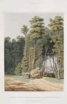 Summer.  A road accident.  A glimpse thro' an opening of the primitive forest, Thornville, Ohio.