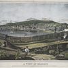 A view of Reading taken from the west side of Schuylkill....