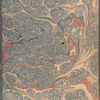 Elizabeth De Hart Bleecker diary