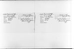 “The Influence of Negroes upon American Political Life”