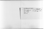 “History of the Democratic Party in Harlem, 1916-1932”
