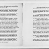 “History of the Democratic Party in Harlem, 1916-1932”