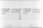 “Political History of the Negro in New York”