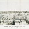 View of Brooklyn, L.I. From U.S. Hotel, New York.