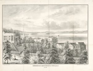 Aurora, N.Y. from the North Poplars.