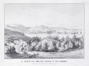 A view of the town, and harbour of San Francisco