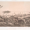 San Francisco upper California in January 1849.
