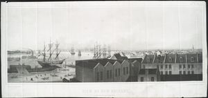 View of New Orleans, taken from the lower cotton press.