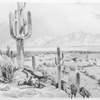 Tucson, Sonora