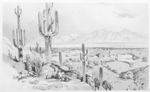 Tucson, Sonora