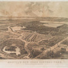 Martel's New York Central Park.