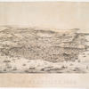Bird's eye view of the city and county of San Francisco, 1869.