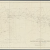 N.Y State Survey