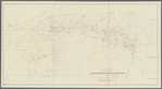 N.Y State Survey