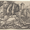 Shepherd