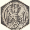 Coat of Arms with a Rampant Lion
