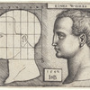 Profile Study of Woman's Head
