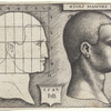 Profile Study of Man's Head