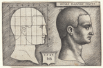 Profile Study of Man's Head