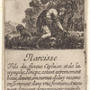 Narcisse
