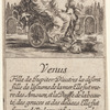 Venus