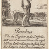 Bacchus