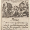 Niobe
