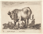 Un bœuf allant à gauche
