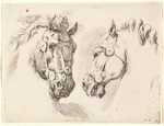 Deux têtes de cheval, mises en regard