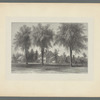 Old Wolcott house. Litchfield, Conn. Built by Oliver Wolcott previous to the Revolution 1753