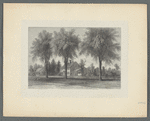 Old Wolcott house. Litchfield, Conn. Built by Oliver Wolcott previous to the Revolution 1753
