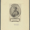Wolsey