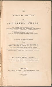 The natural history of the sperm whale