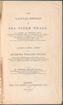 The natural history of the sperm whale