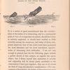Habits of the sperm whale, page 33