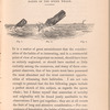 Habits of the sperm whale