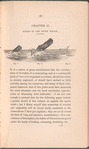Habits of the sperm whale