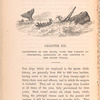 Description of the boats, with the various instruments, employed in the capture of the sperm whale