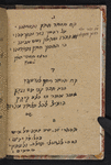 Riḳud ha-teyashim ṿeha-ʻizim