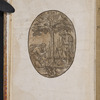 Riḳud ha-teyashim ṿeha-ʻizim