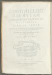 Dell'Historia Natvrale Di Ferrante Imperato ... Libri XXVIII. Nella Qvale Ordinatemente Si Tratta della diuersa condition di miniere, e pietre