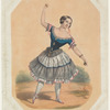 Sig'ra Ciocca nell' Andalusa (Park Theatre, New York)