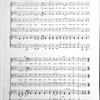 Brainard's music world