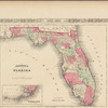 Johnson's Florida