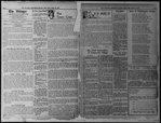 The Villager, Vol. 1, no. 3