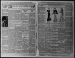 The Villager, Vol. 1, no. 5