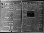 The Villager, Vol. 1, no. 14