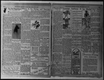 The Villager, Vol. 1, no. 16