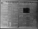 The Villager, Vol. 1, no. 17